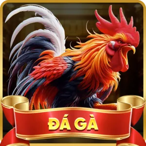 K9CC Đá Gà Trực Tiếp